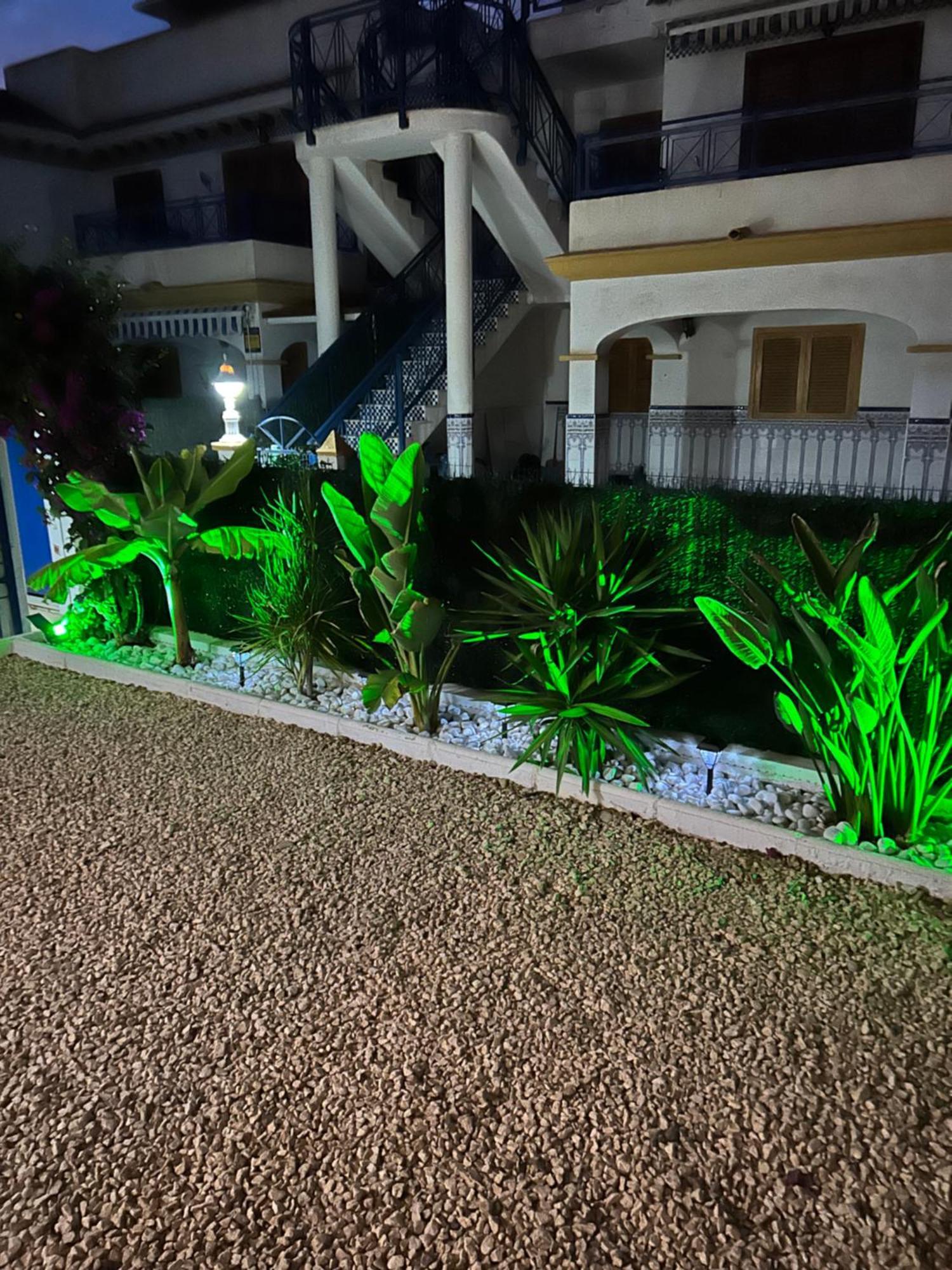 Acogedor Apartamento En La Playa Вера Экстерьер фото